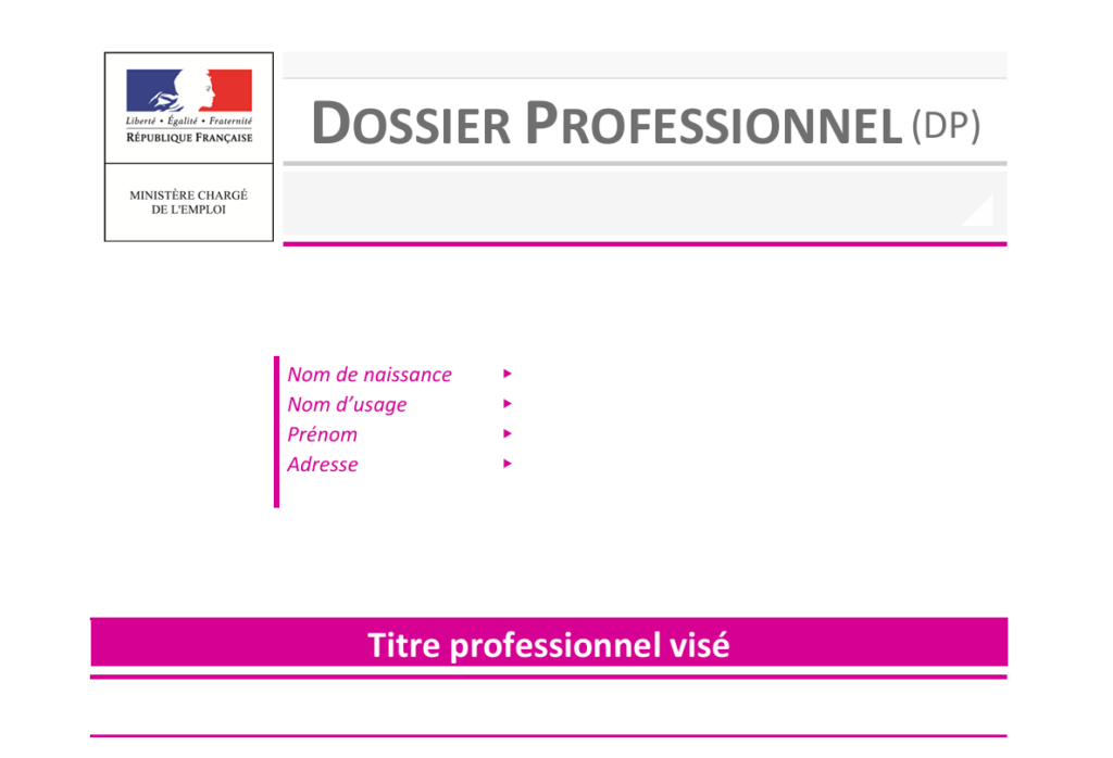 dossier professionnel DP